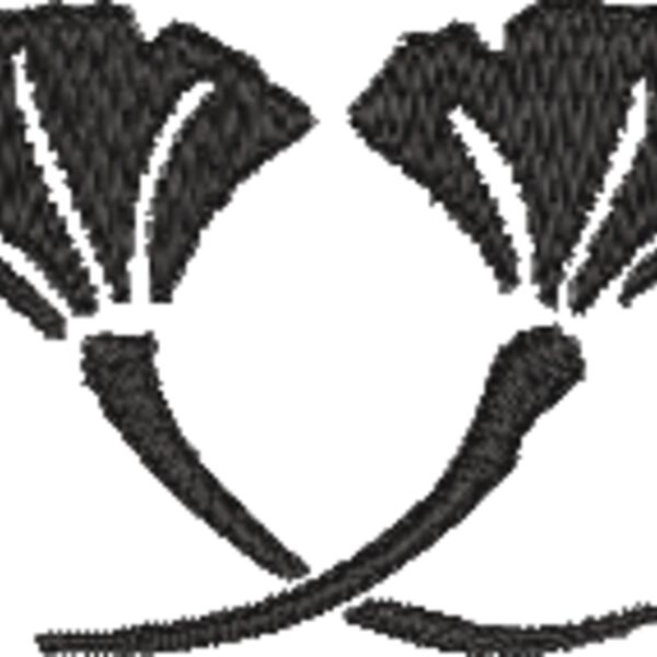 NZ541 Thumbnail