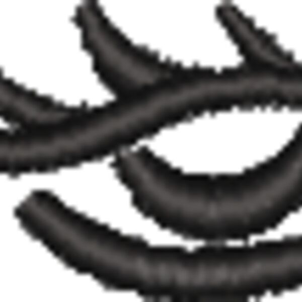 NZ788 Thumbnail