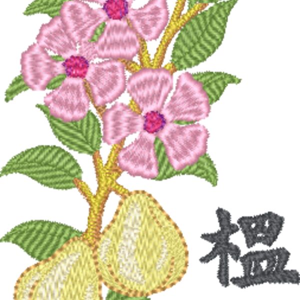 FP334 Thumbnail