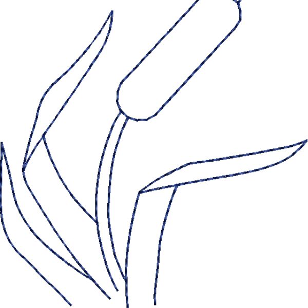 NZ521 Thumbnail