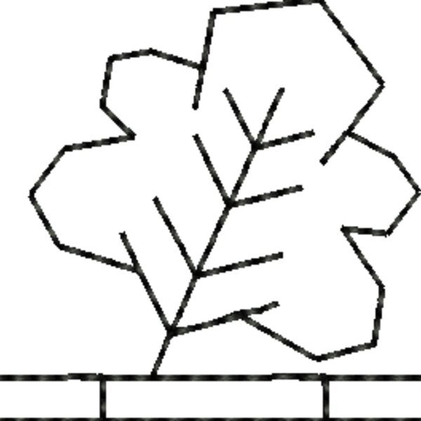 Nx476 Thumbnail