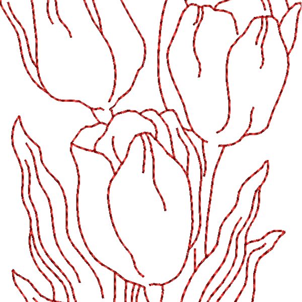 FP171 Thumbnail
