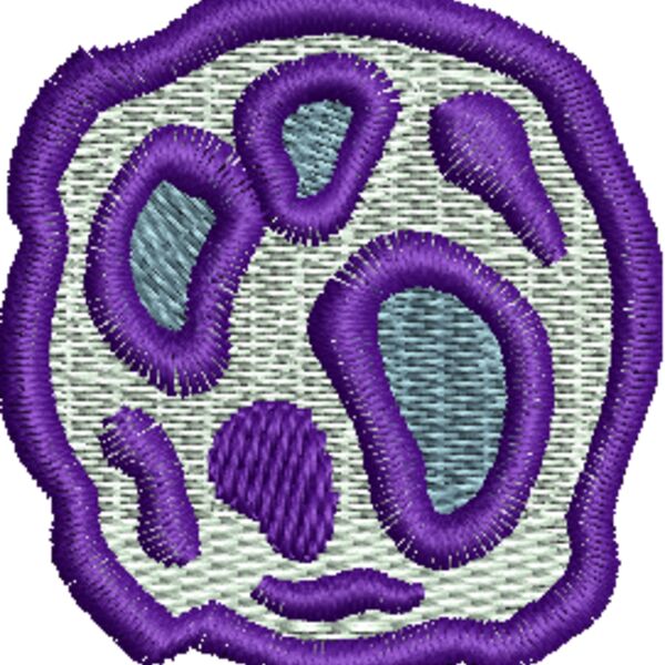 CI958 Thumbnail