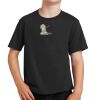 Youth Fan Favorite Tee Thumbnail