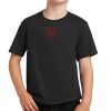 Youth Fan Favorite Tee Thumbnail